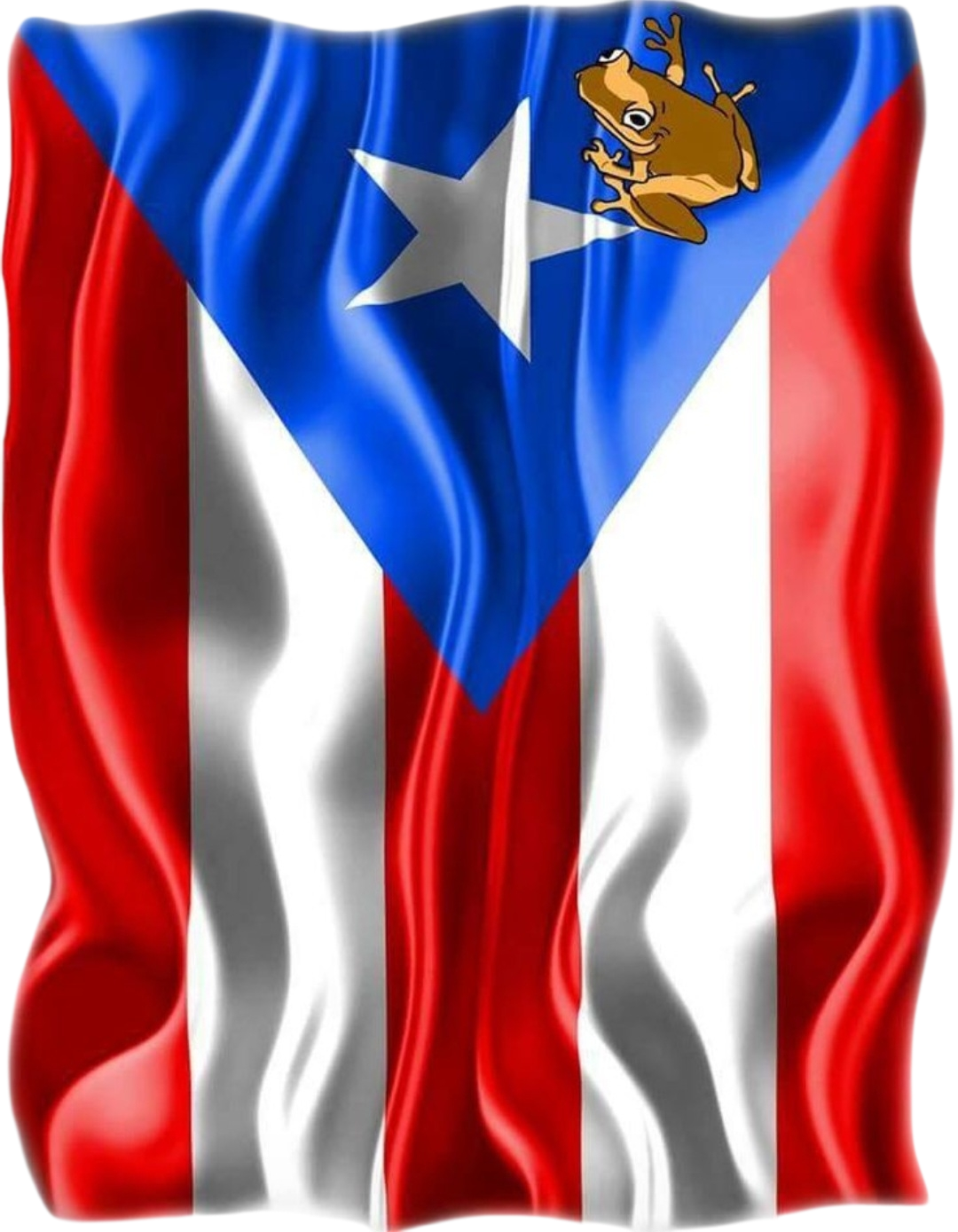 Puerto Rican Pride