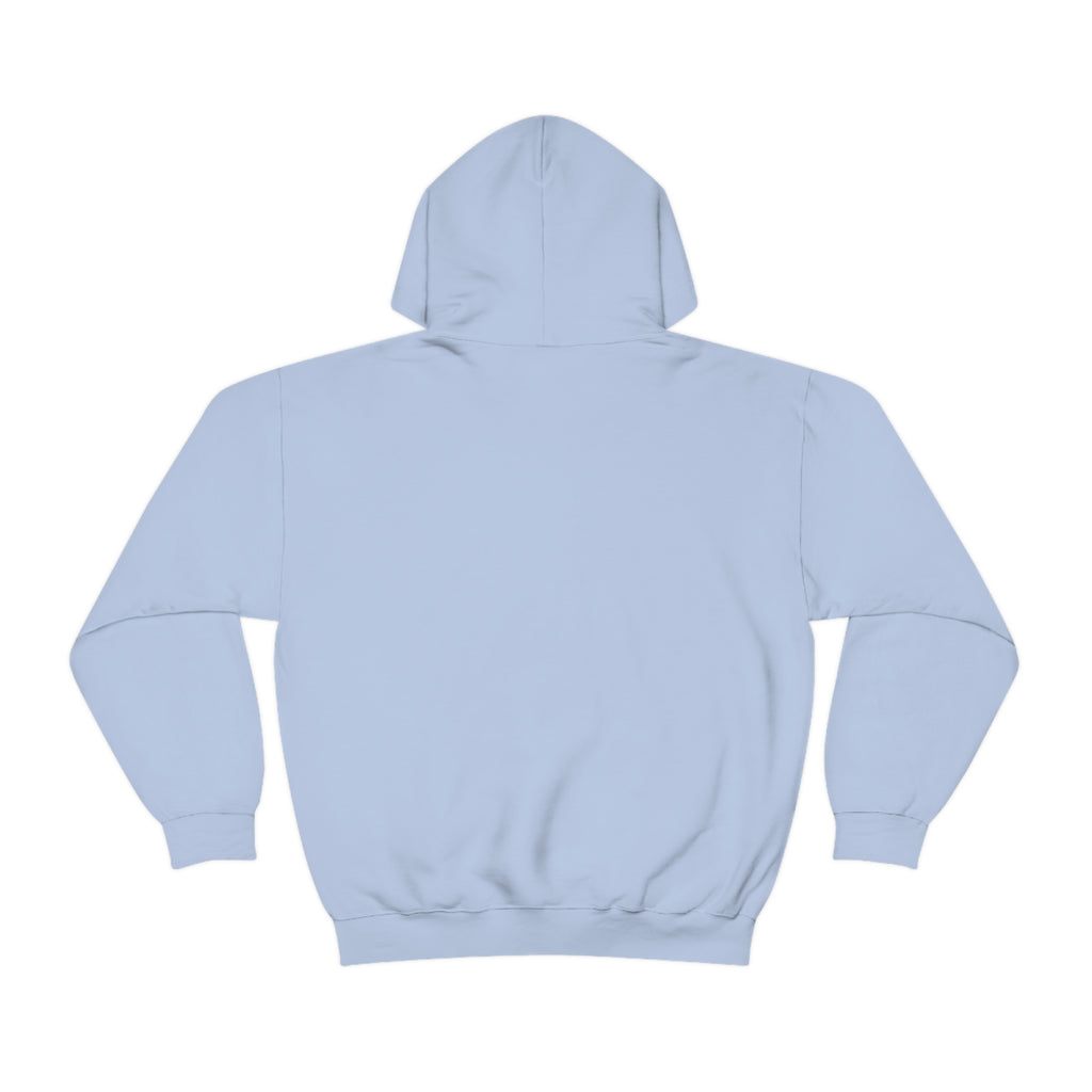 Taino Artifact Unisex Heavy Blend™ Hooded Sweatshirt