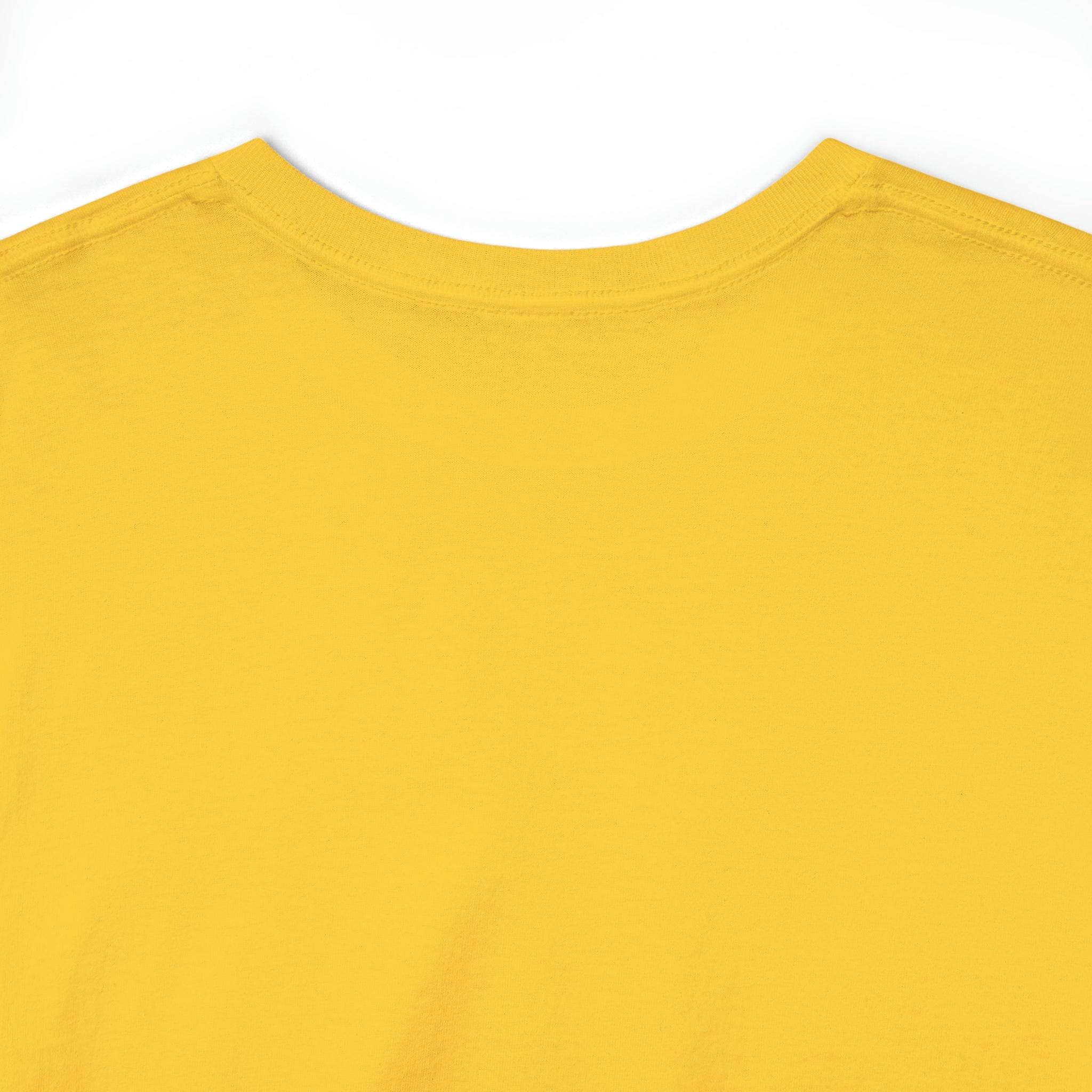 Island of Puerto Rico Flag Heavy Cotton Tee