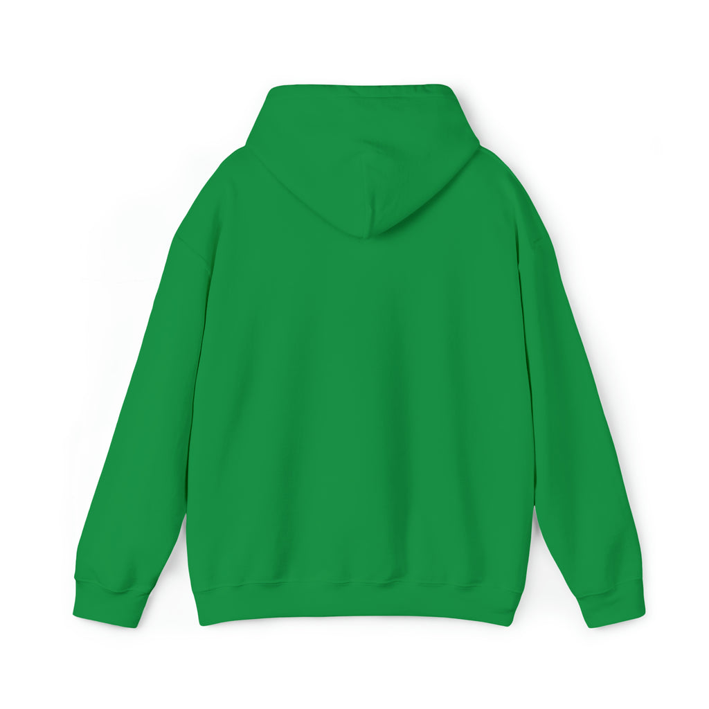Taino Sun Unisex Heavy Blend™ Hooded Sweatshirt