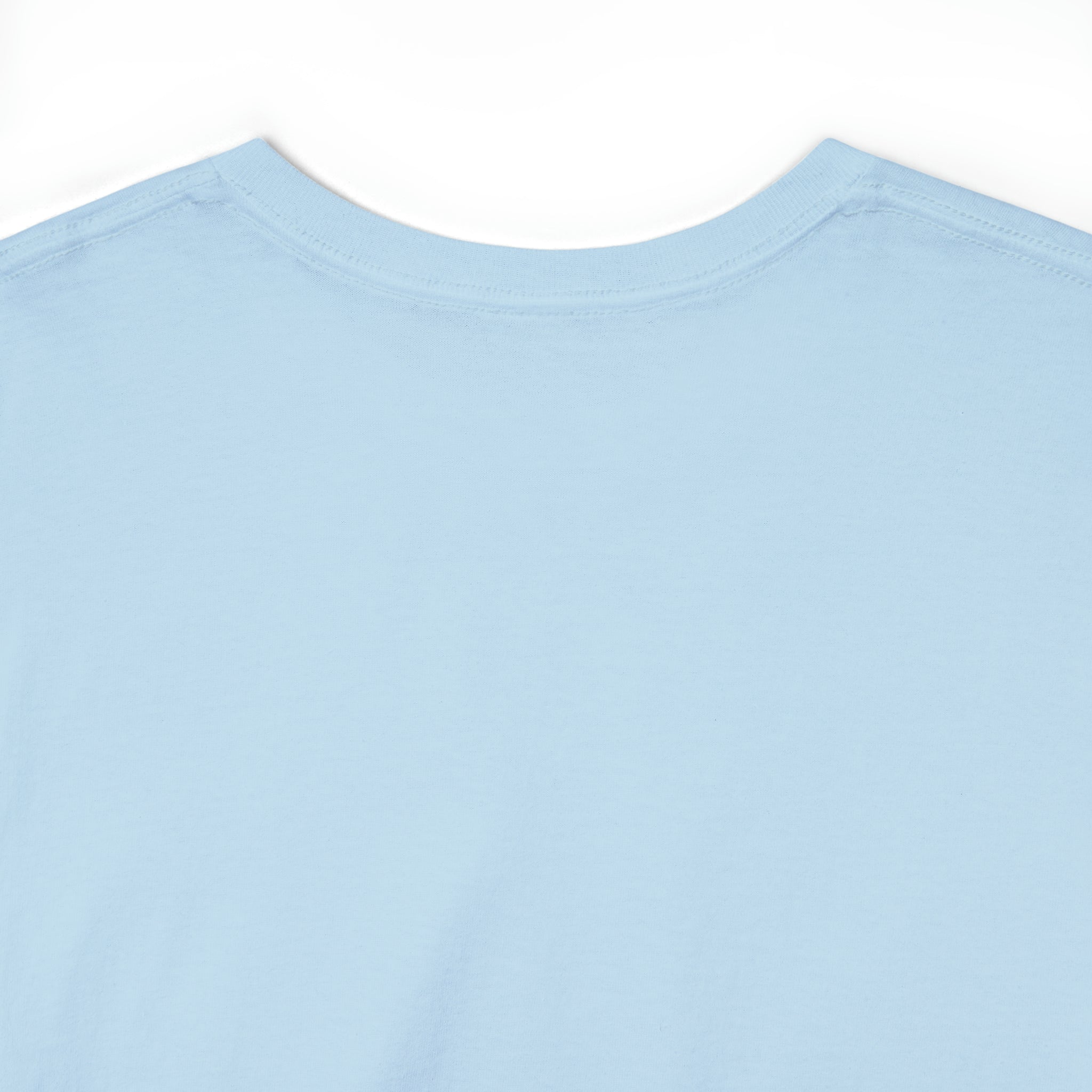 Taino-Inspired Turtle Unisex Heavy Cotton Tee