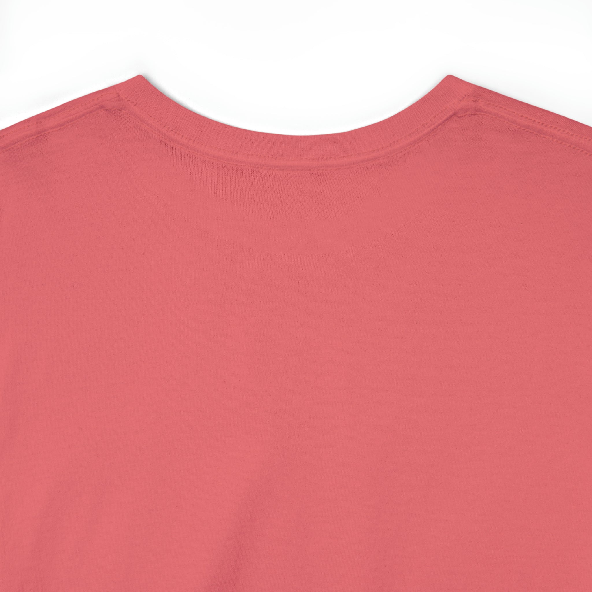 Taino-Inspired Turtle Unisex Heavy Cotton Tee