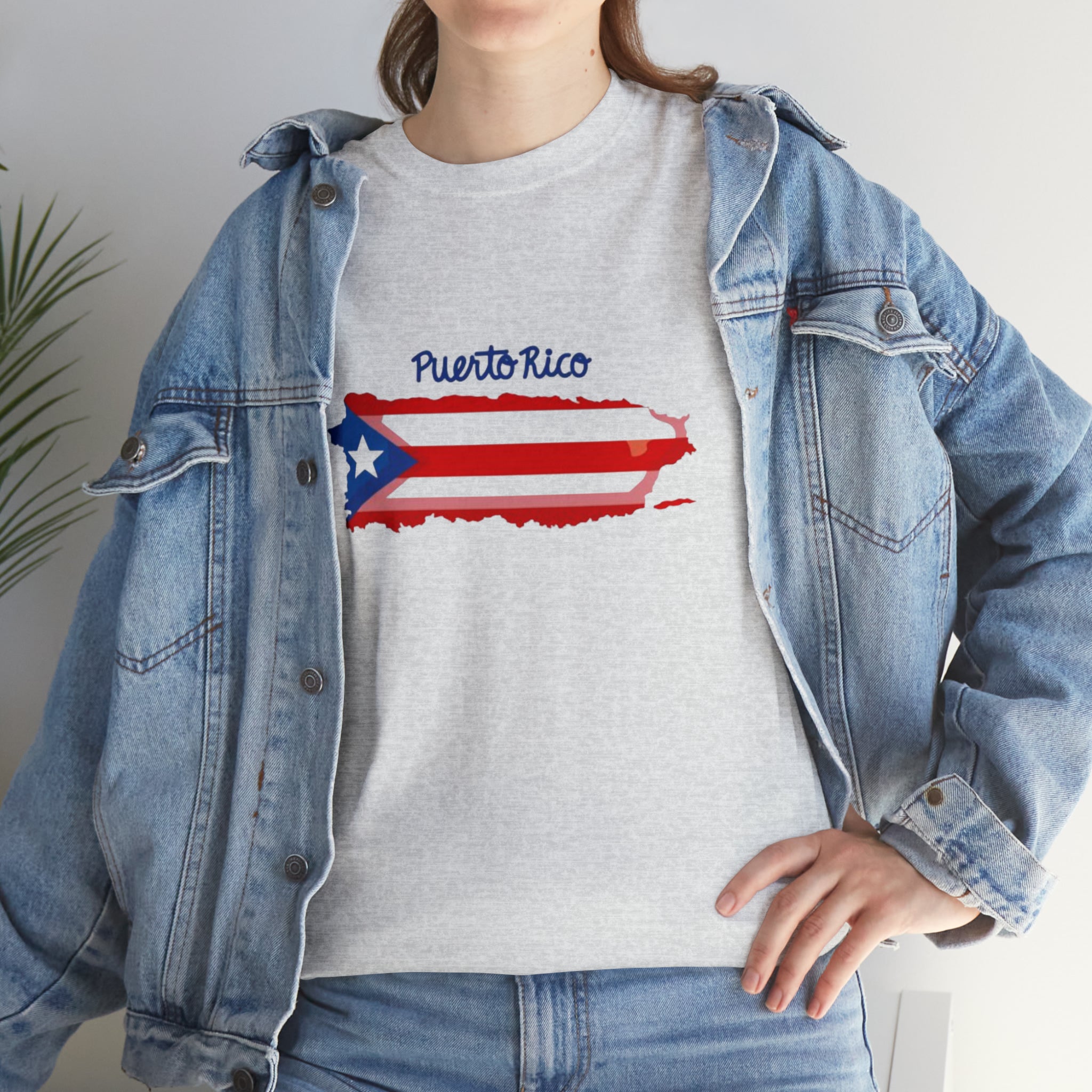 Island of Puerto Rico Flag Heavy Cotton Tee