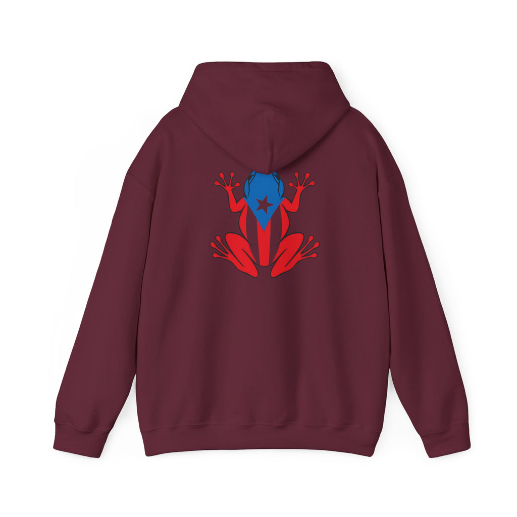 Puerto Rico Flag Heart & Frog Hoodie – Puerto Rican Pride Sweatshirt