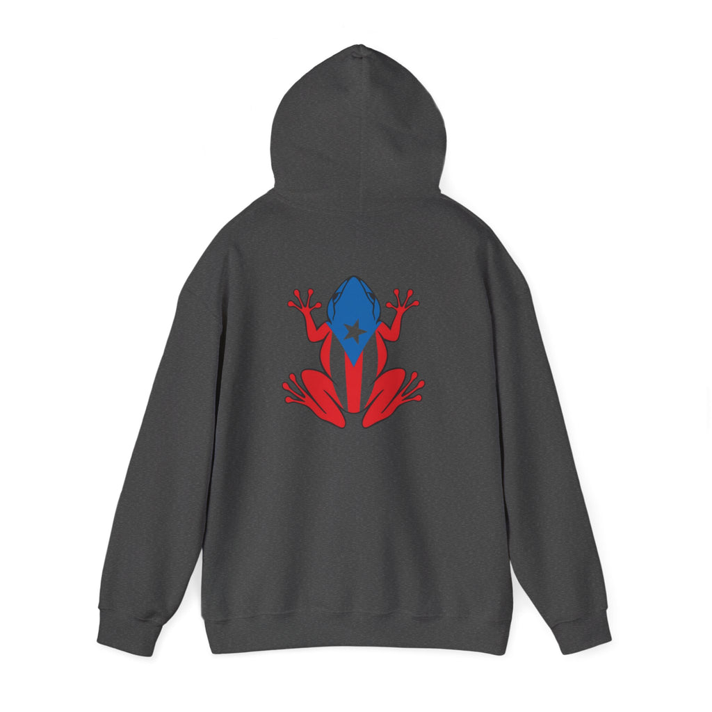 Puerto Rico Flag Heart & Frog Hoodie – Puerto Rican Pride Sweatshirt