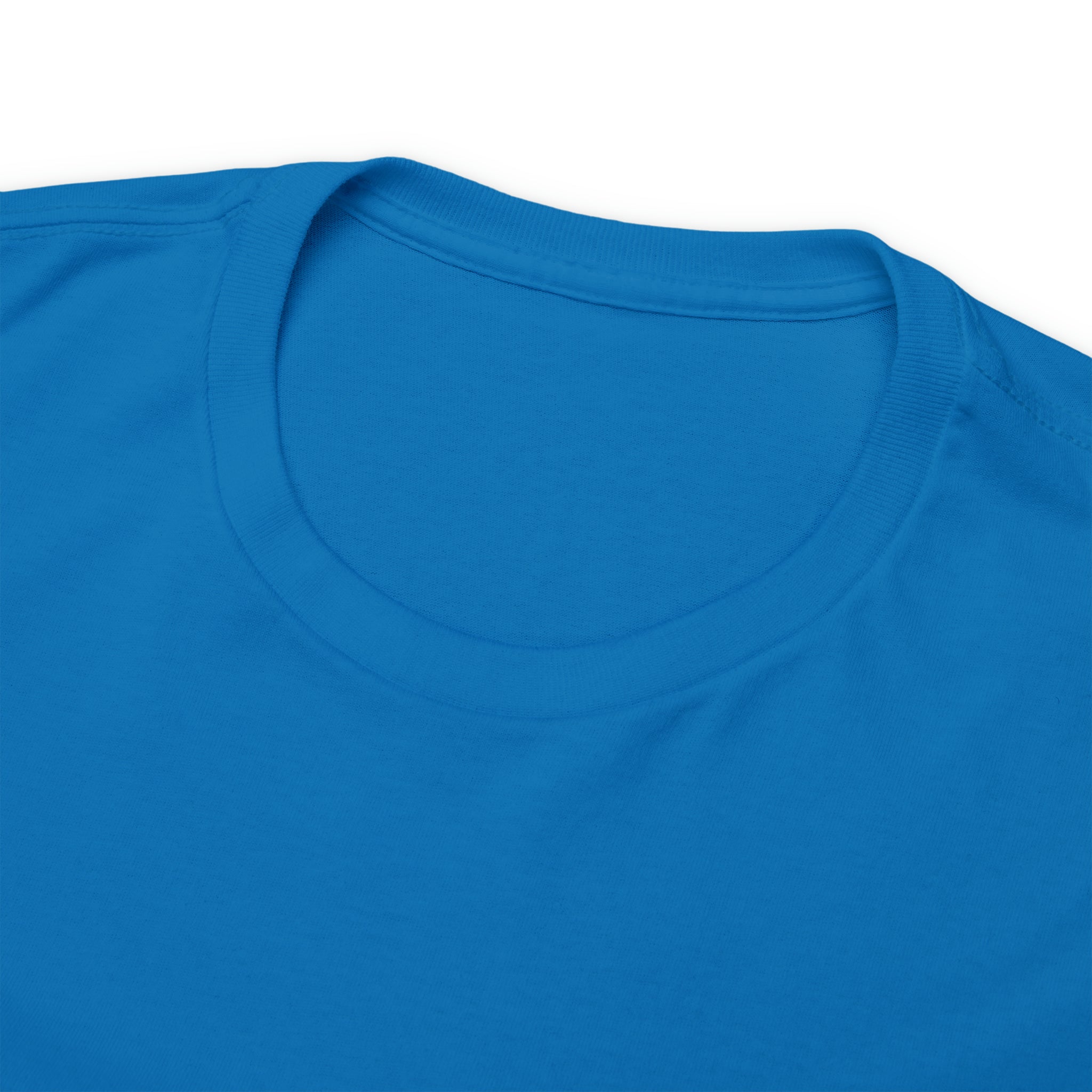 Taino-Inspired Turtle Unisex Heavy Cotton Tee