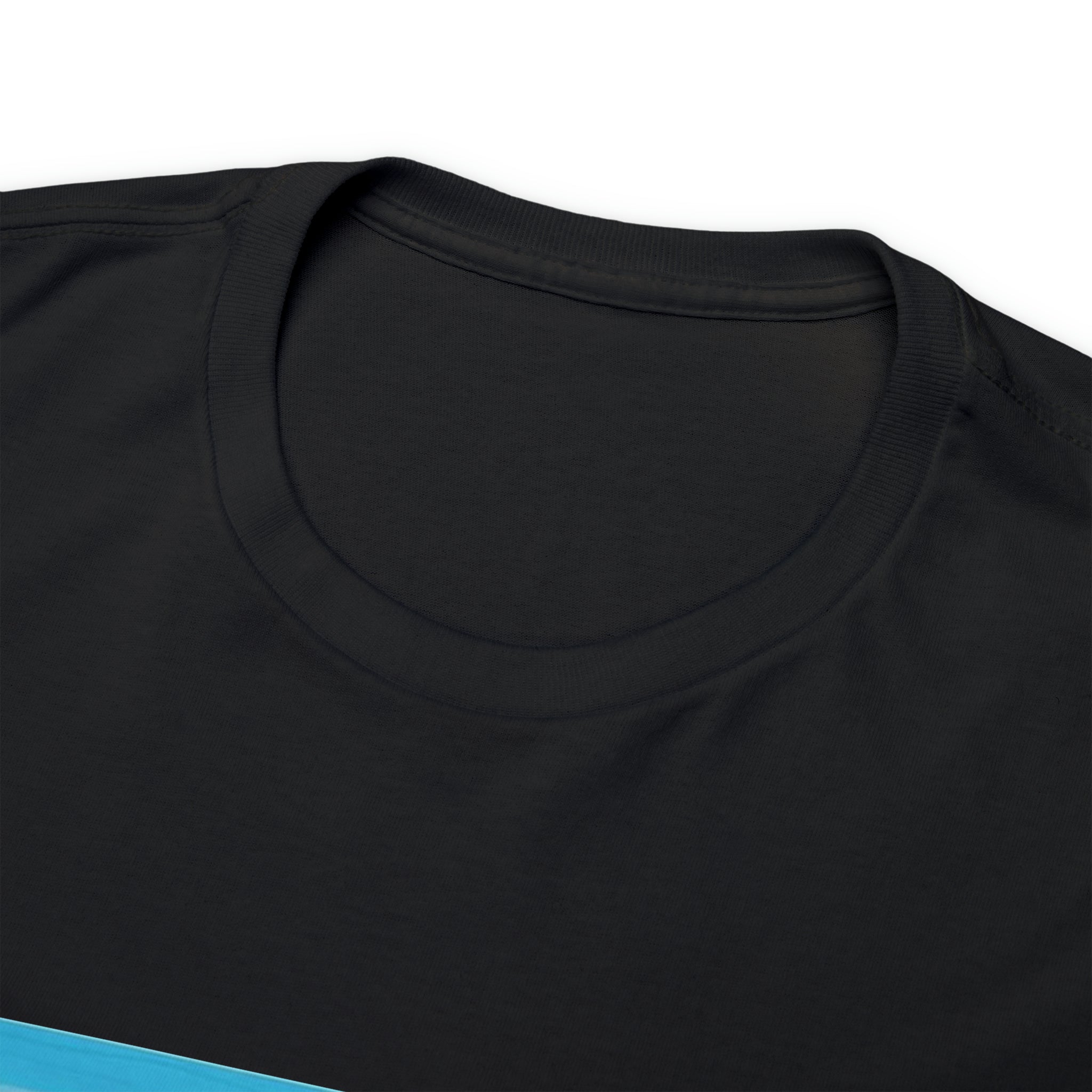 The Island of Puerto Rico Unisex Heavy Cotton Tee