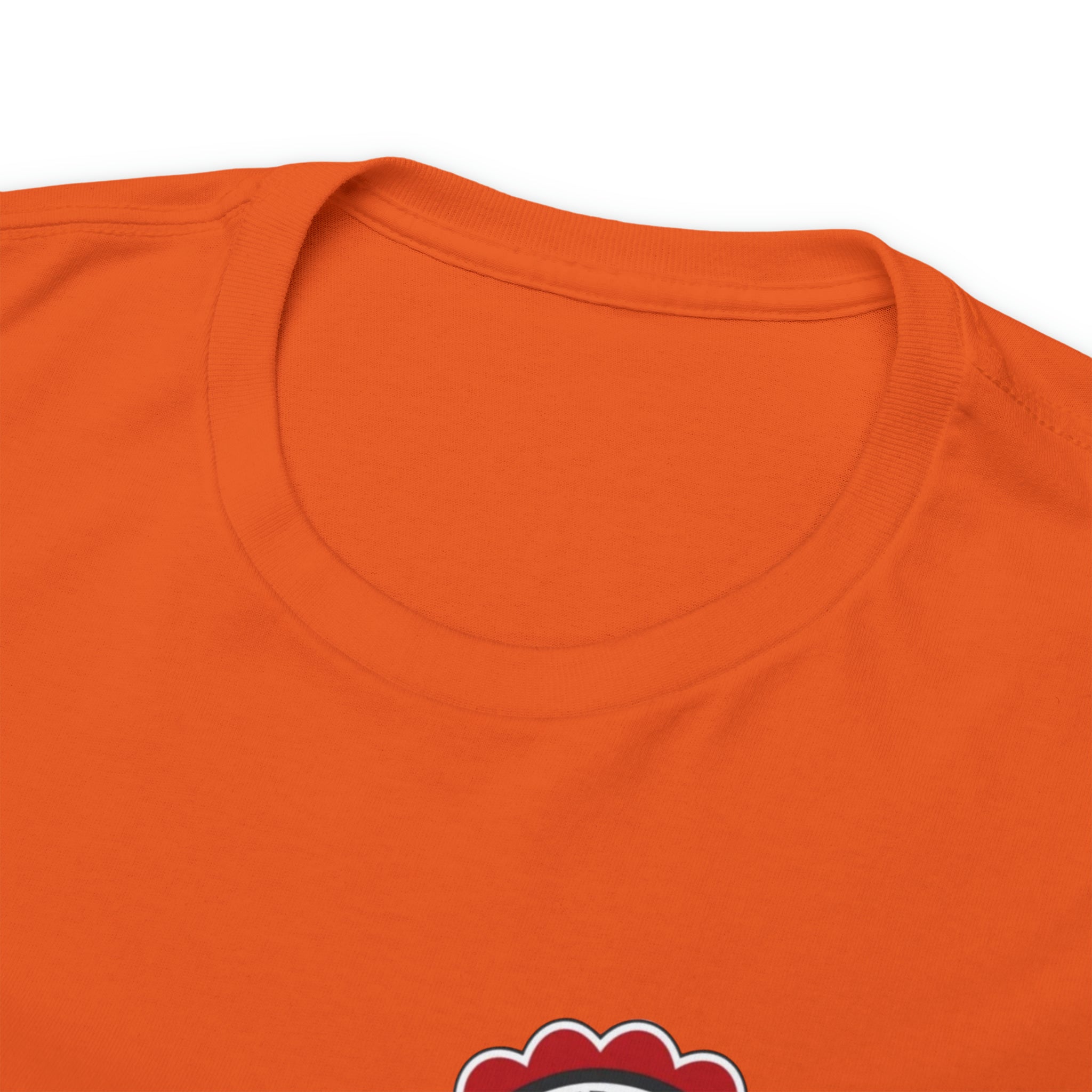 Juneteenth Freedom Day Unisex Heavy Cotton Tee