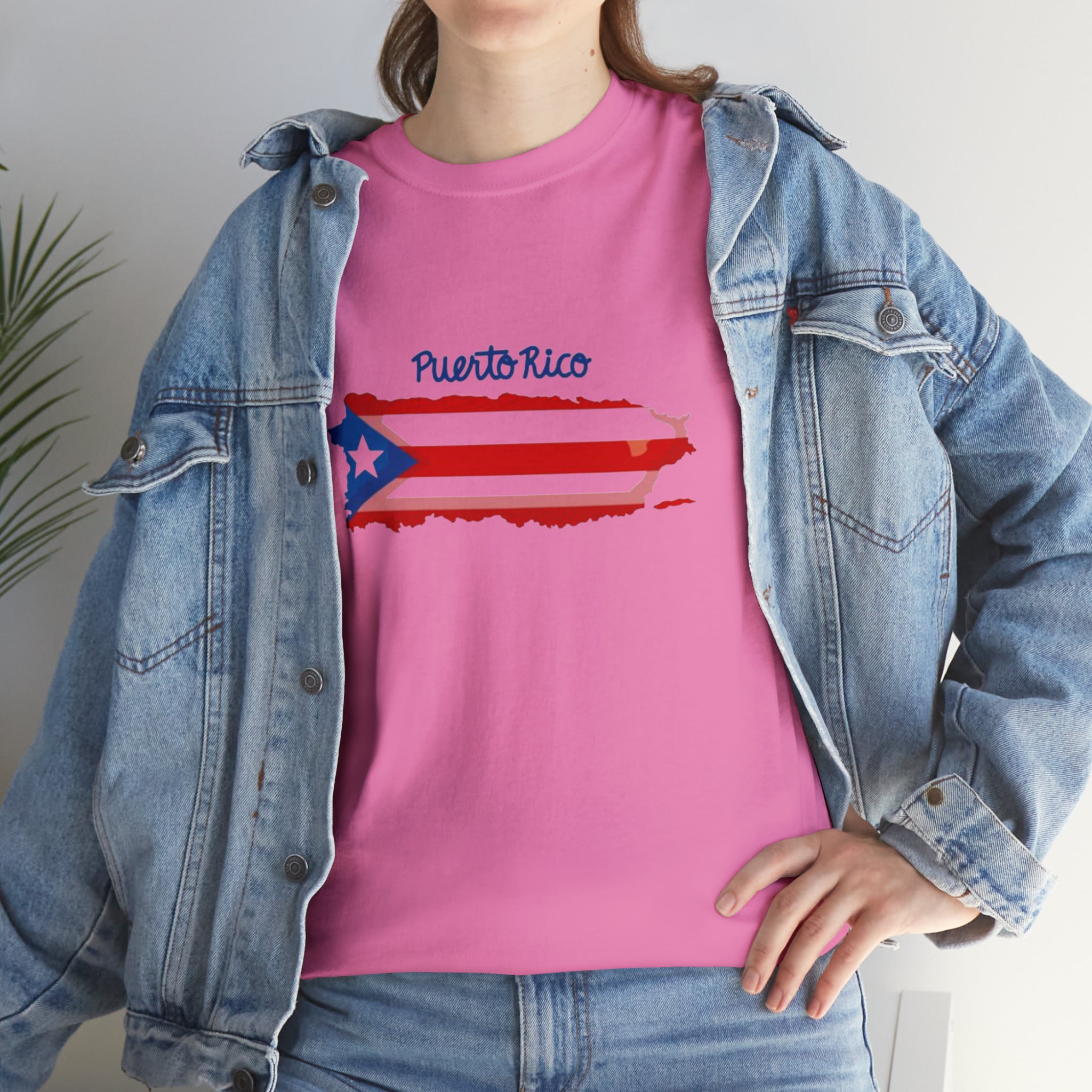 Island of Puerto Rico Flag Heavy Cotton Tee