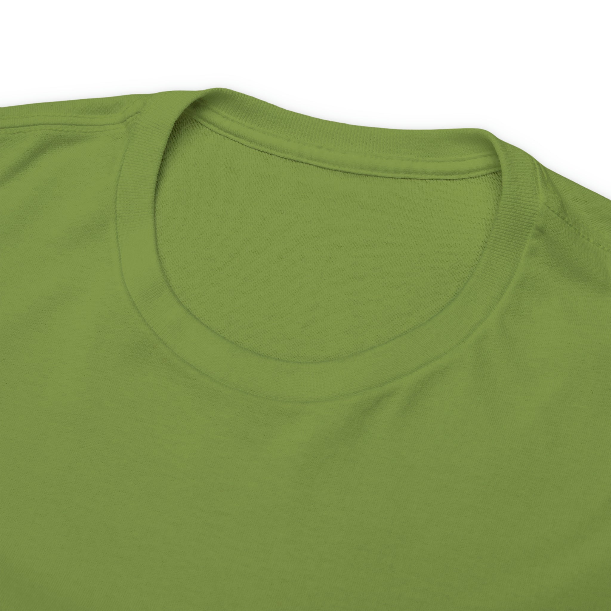 Taino-Inspired Turtle Unisex Heavy Cotton Tee