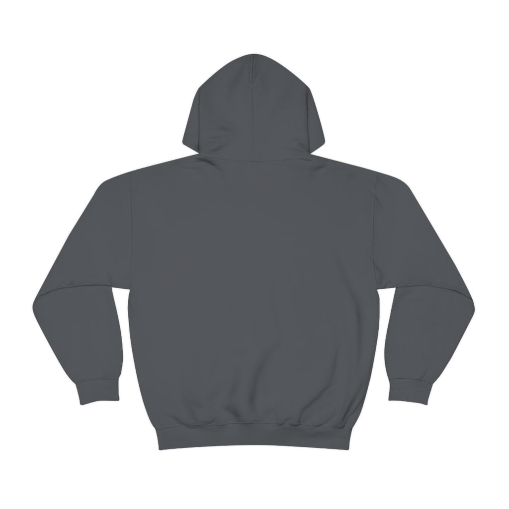 Taino Artifact Unisex Heavy Blend™ Hooded Sweatshirt