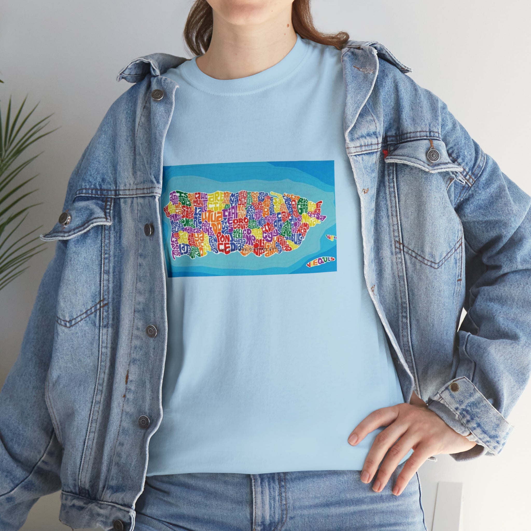 The Island of Puerto Rico Unisex Heavy Cotton Tee