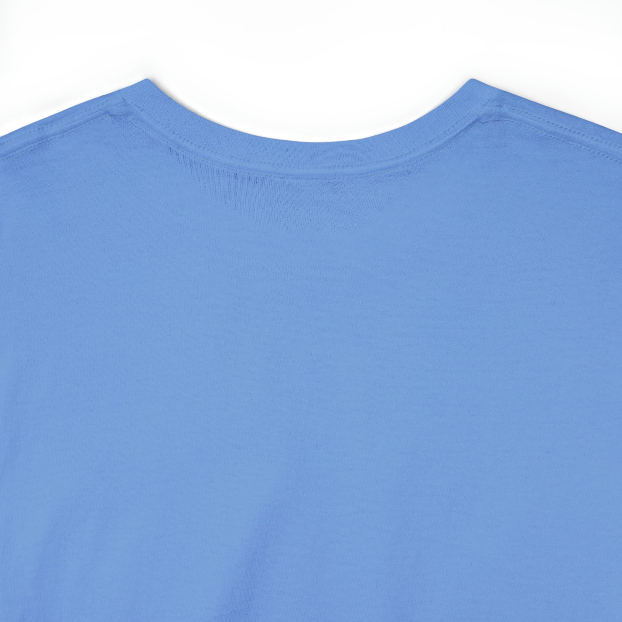 Taino-Inspired Turtle Unisex Heavy Cotton Tee