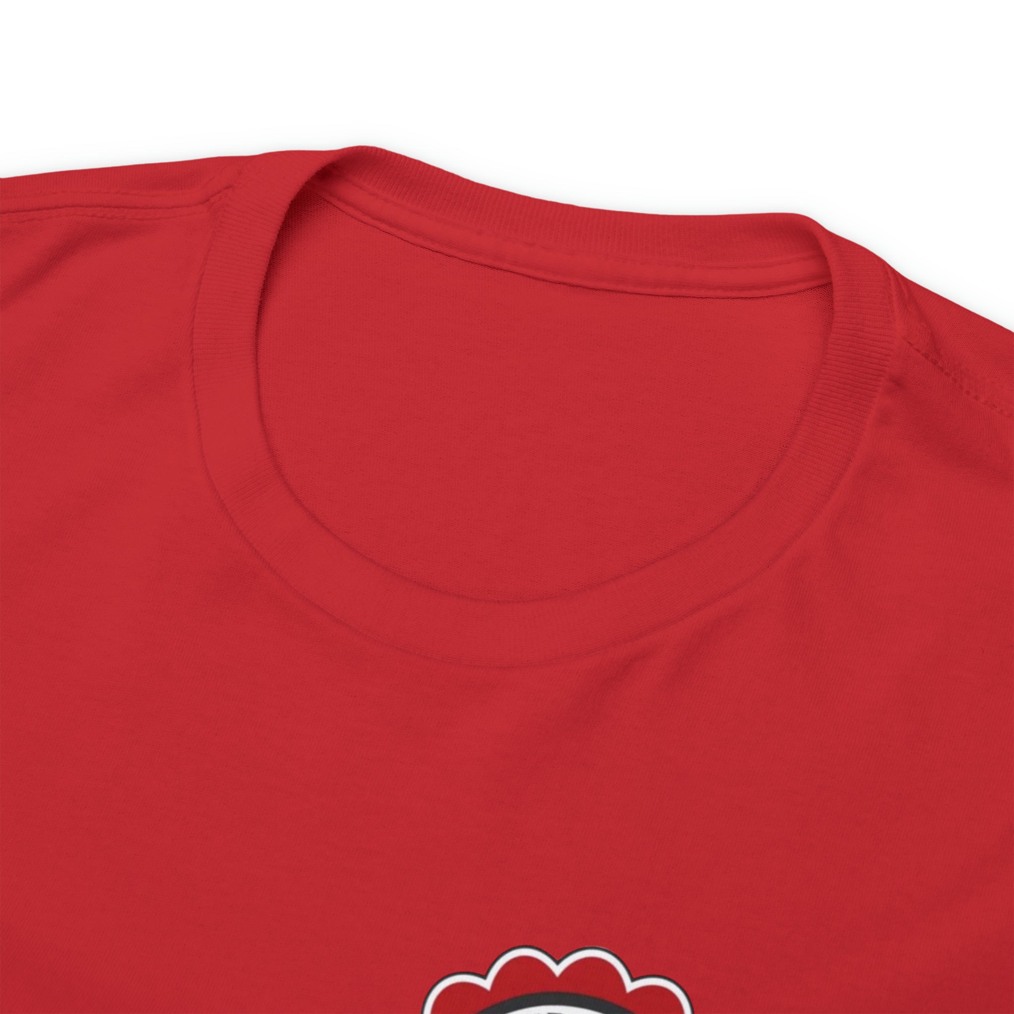 Juneteenth Freedom Day Unisex Heavy Cotton Tee