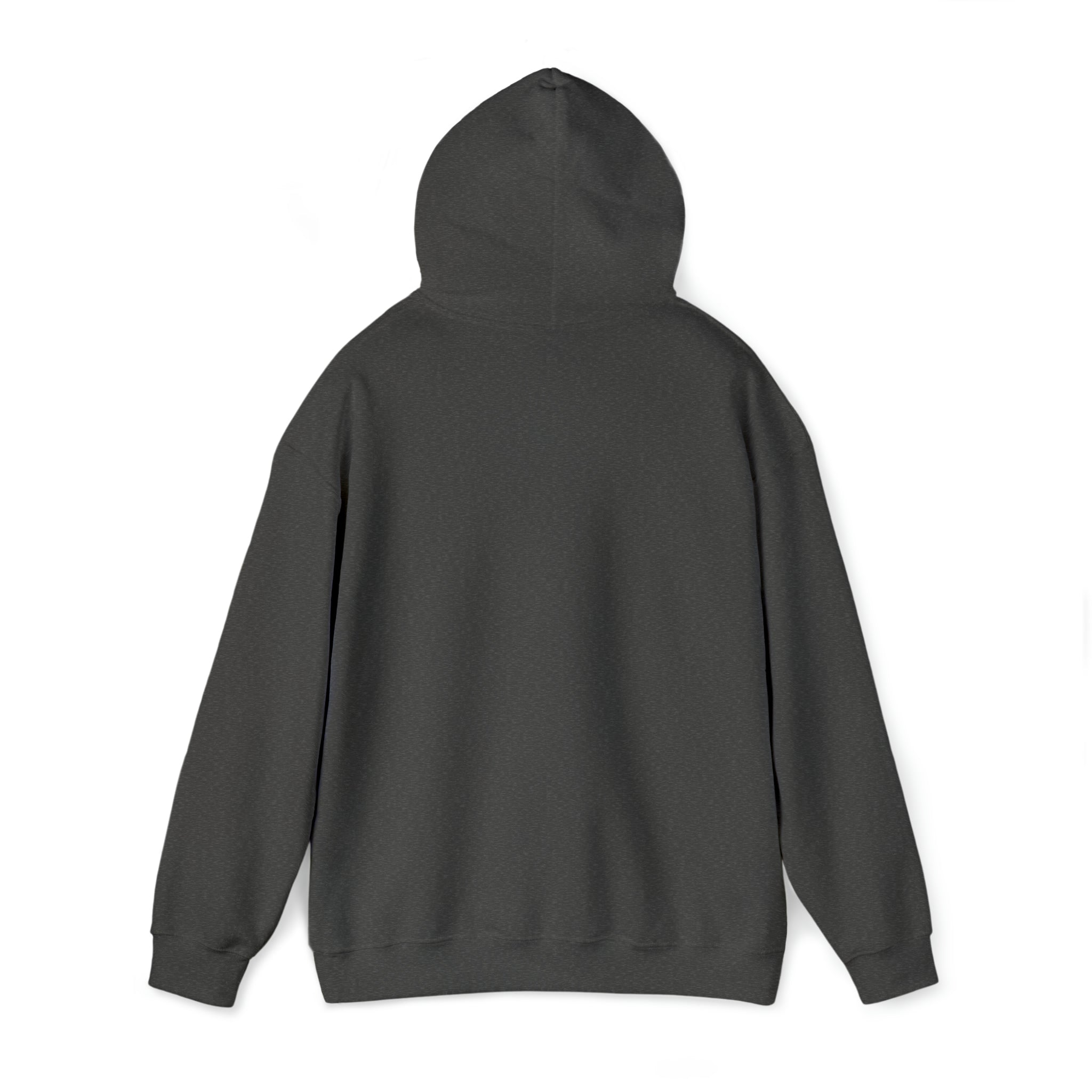 Taino Sun Unisex Heavy Blend™ Hooded Sweatshirt