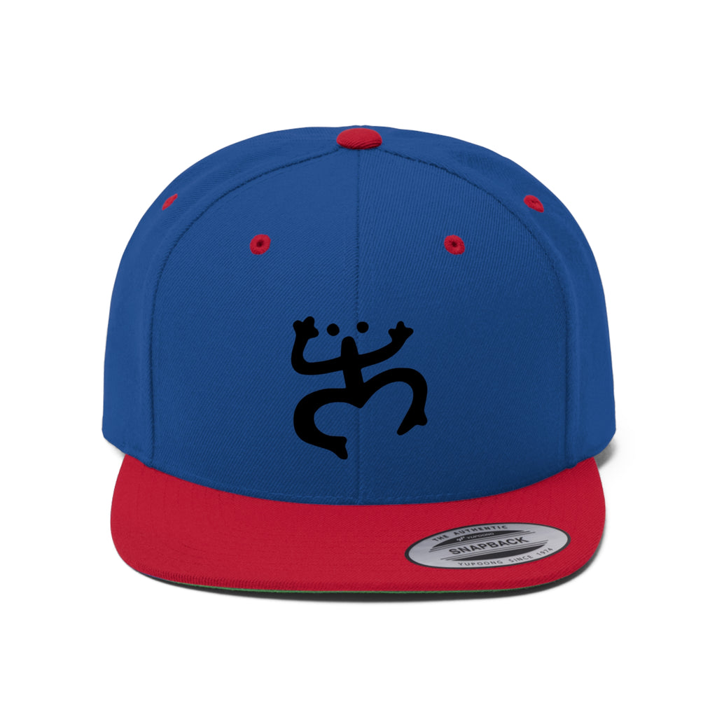 Taino Black Coqui Unisex Flat Bill Hat