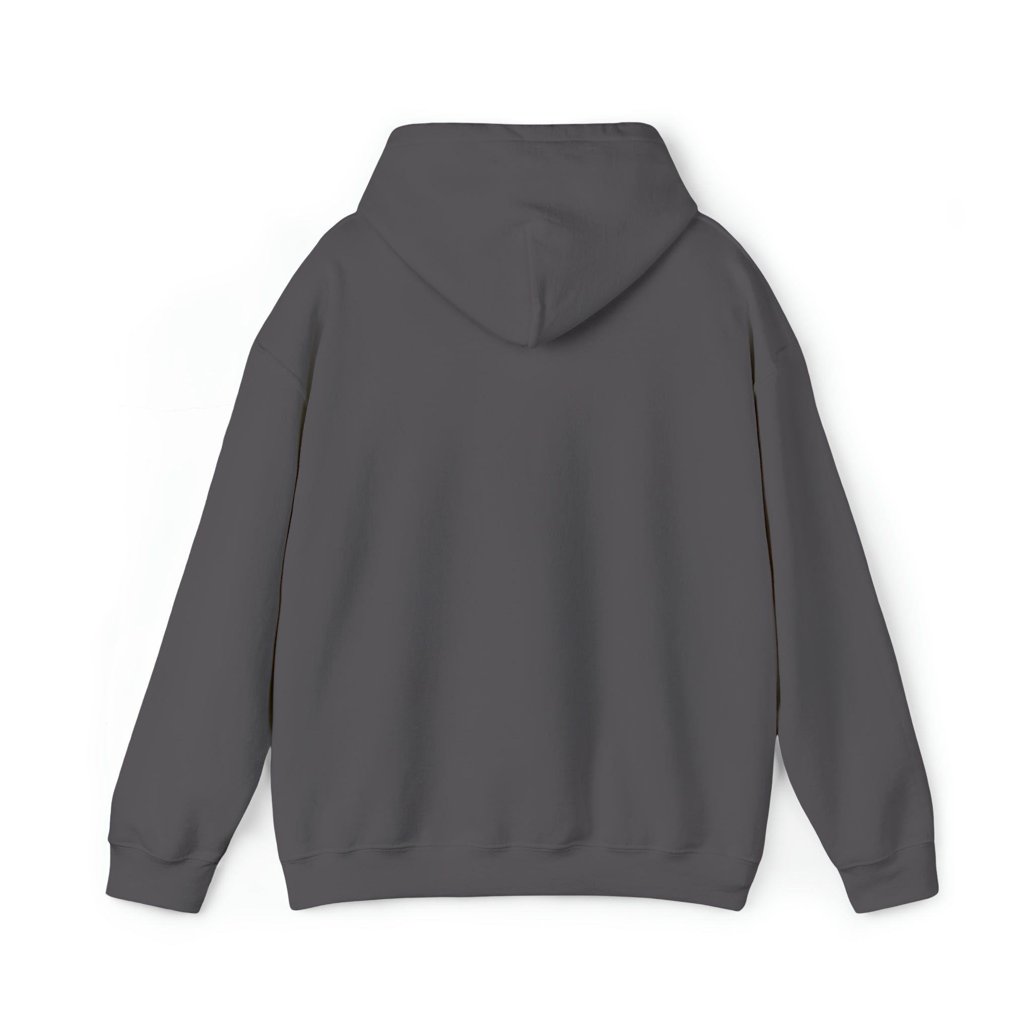 Taino Trigonolito Unisex Heavy Blend™ Hooded Sweatshirt
