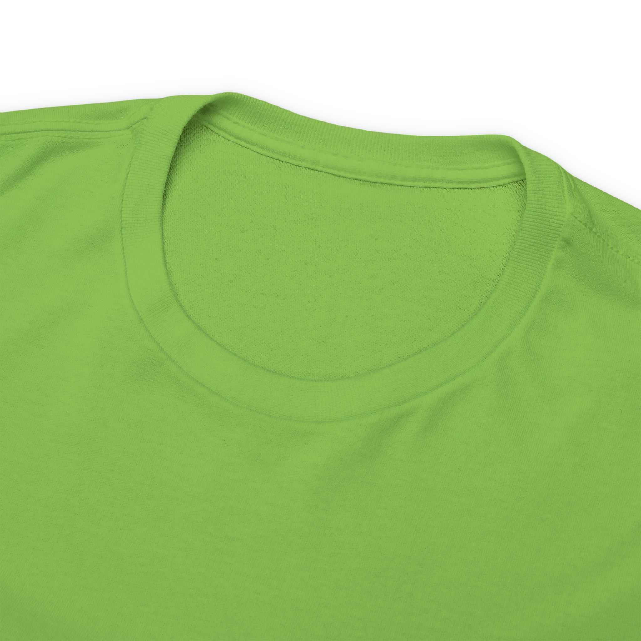 Taino-Inspired Turtle Unisex Heavy Cotton Tee