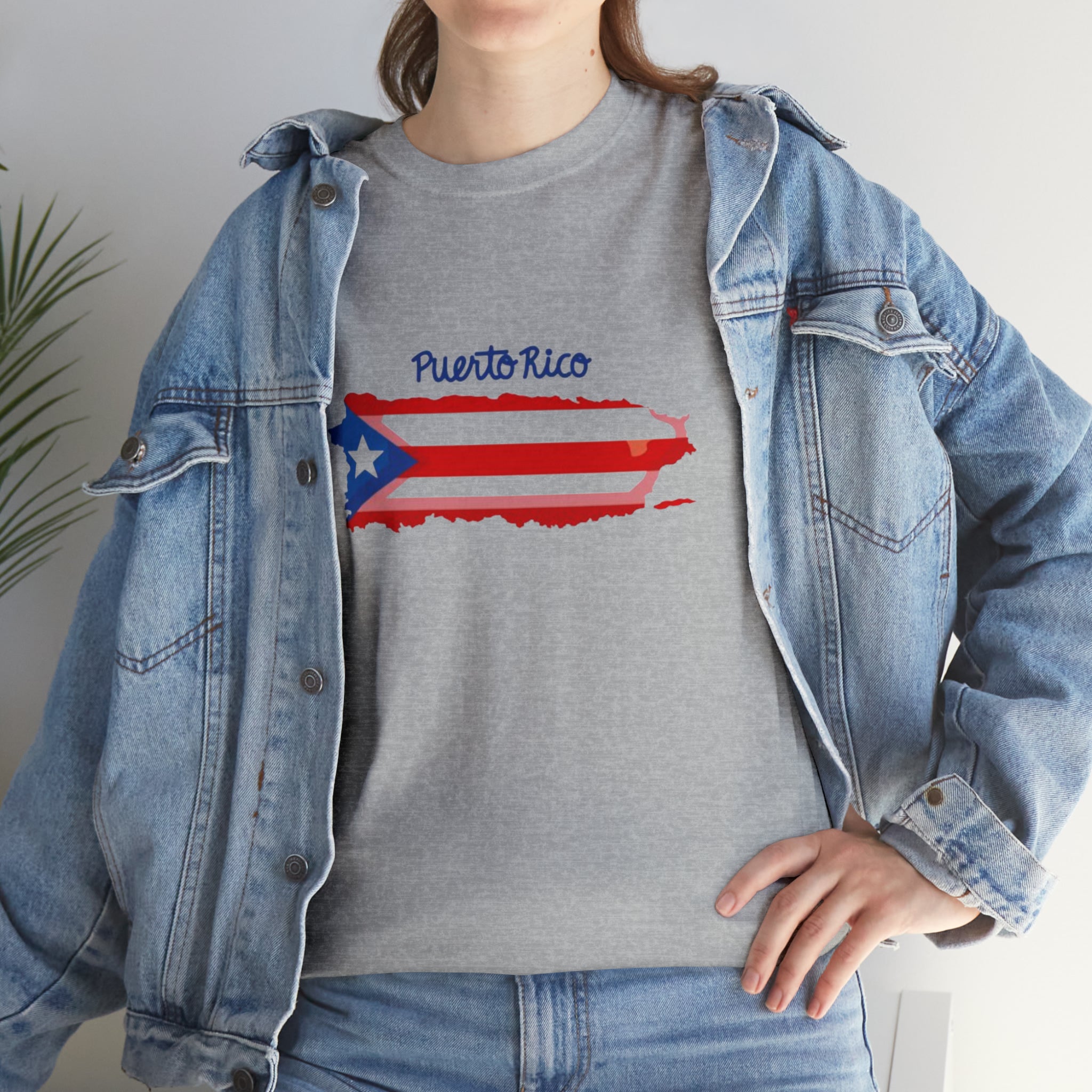 Island of Puerto Rico Flag Heavy Cotton Tee