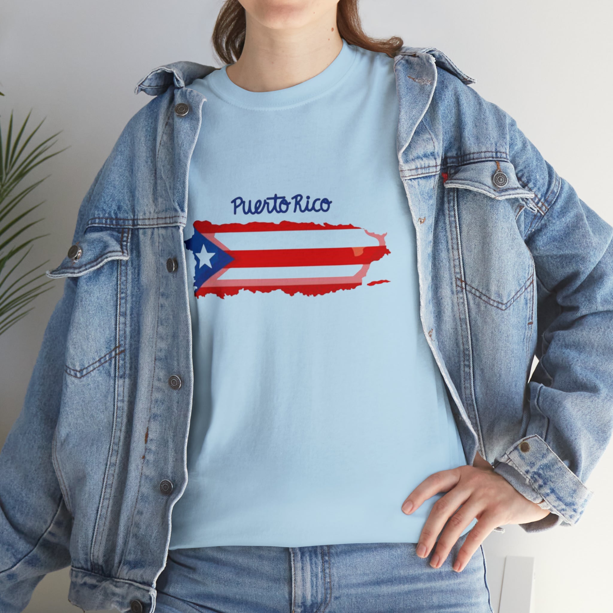 Island of Puerto Rico Flag Heavy Cotton Tee