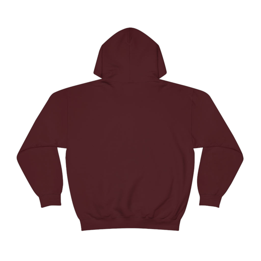 Taino Artifact Unisex Heavy Blend™ Hooded Sweatshirt