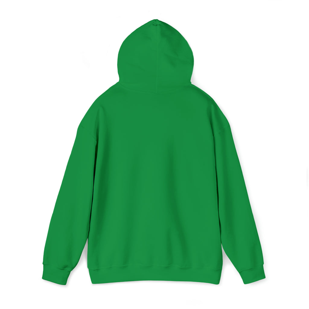 Taino Sun Unisex Heavy Blend™ Hooded Sweatshirt