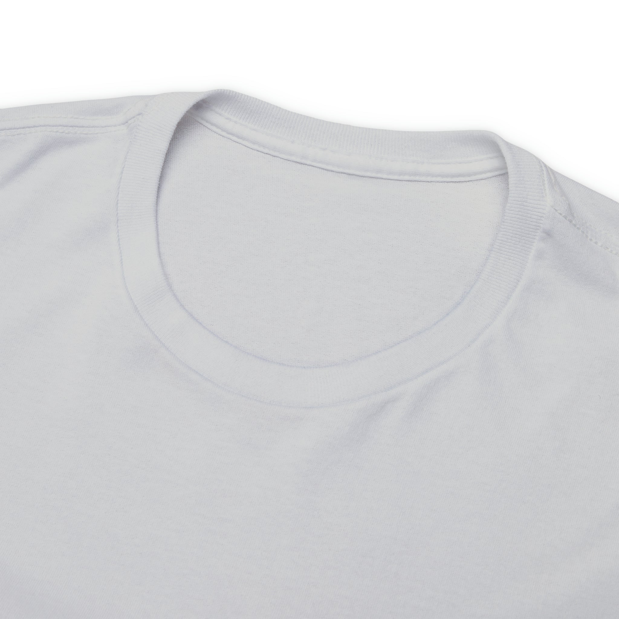 Taino-Inspired Turtle Unisex Heavy Cotton Tee