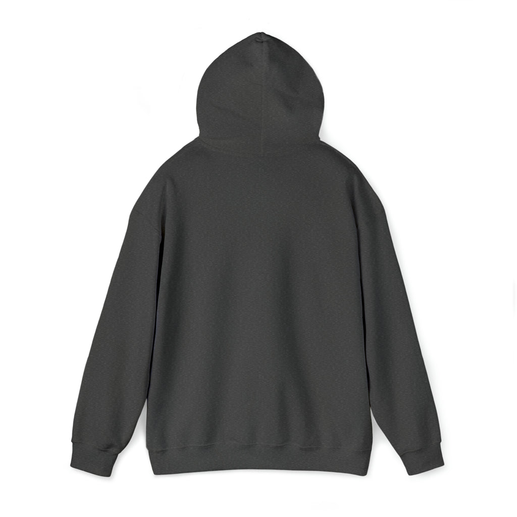 Taino Symbolism Unisex Heavy Blend™ Hooded Sweatshirt