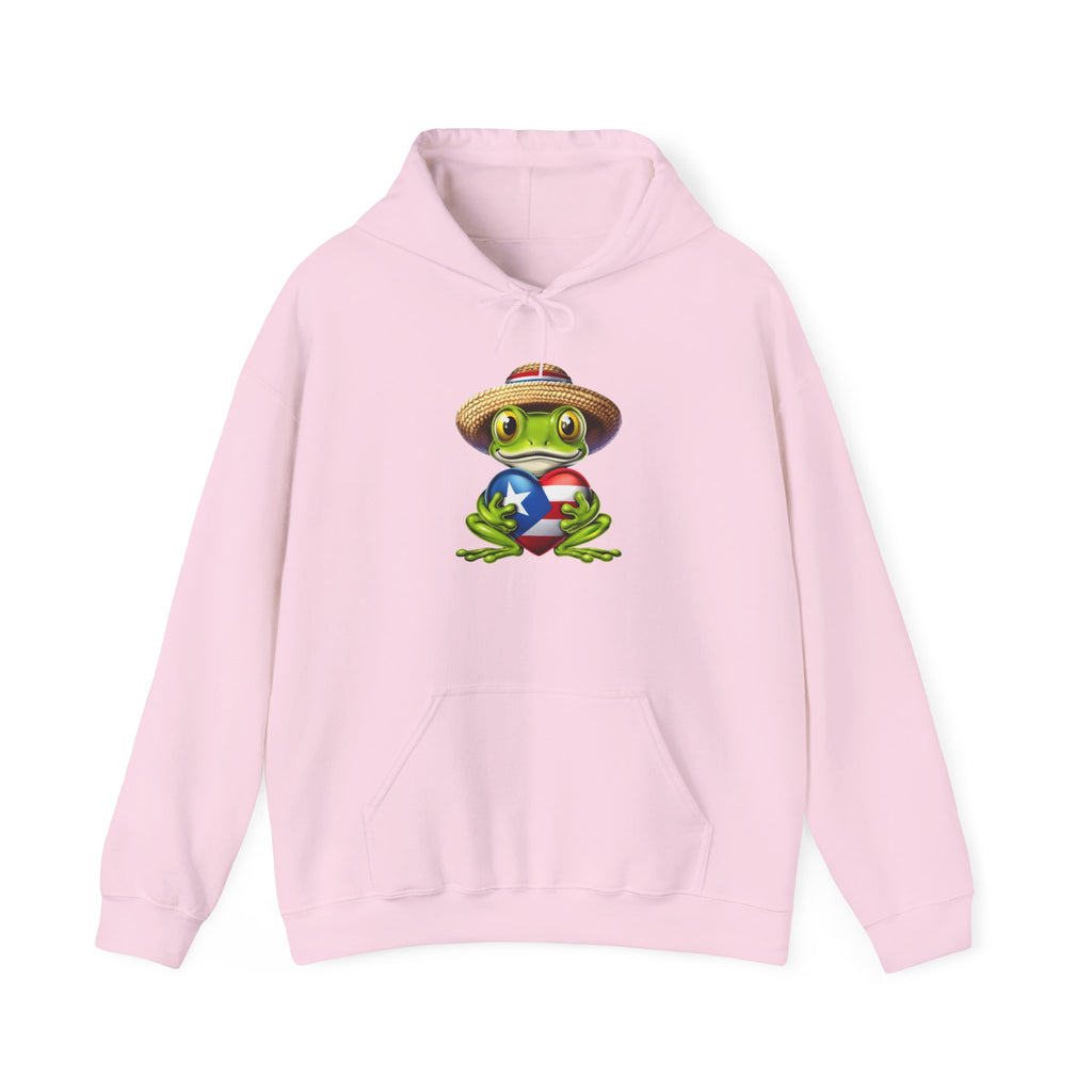 Puerto Rico Frog Hoodie — Coquí with Flag Heart Back Graphic