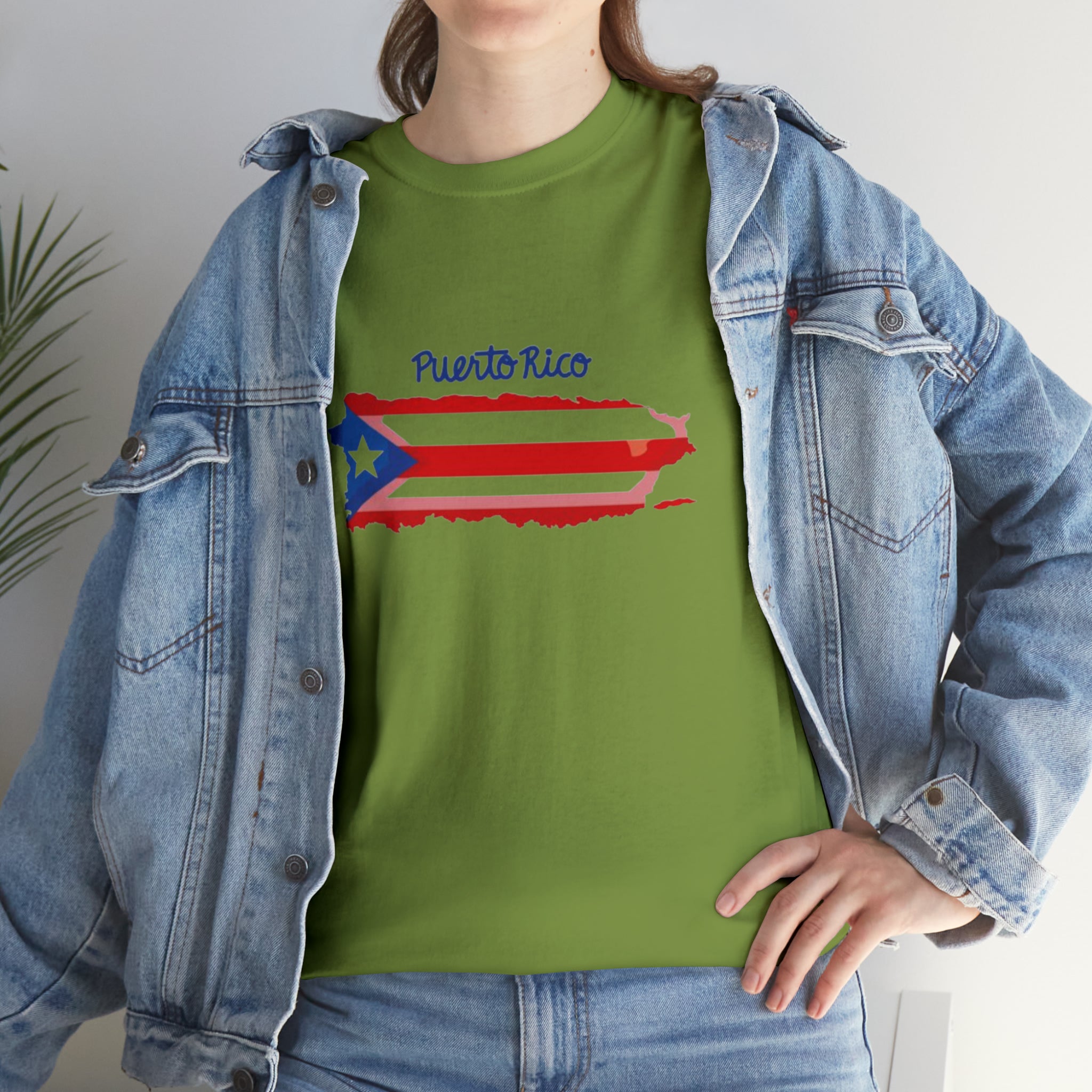 Island of Puerto Rico Flag Heavy Cotton Tee