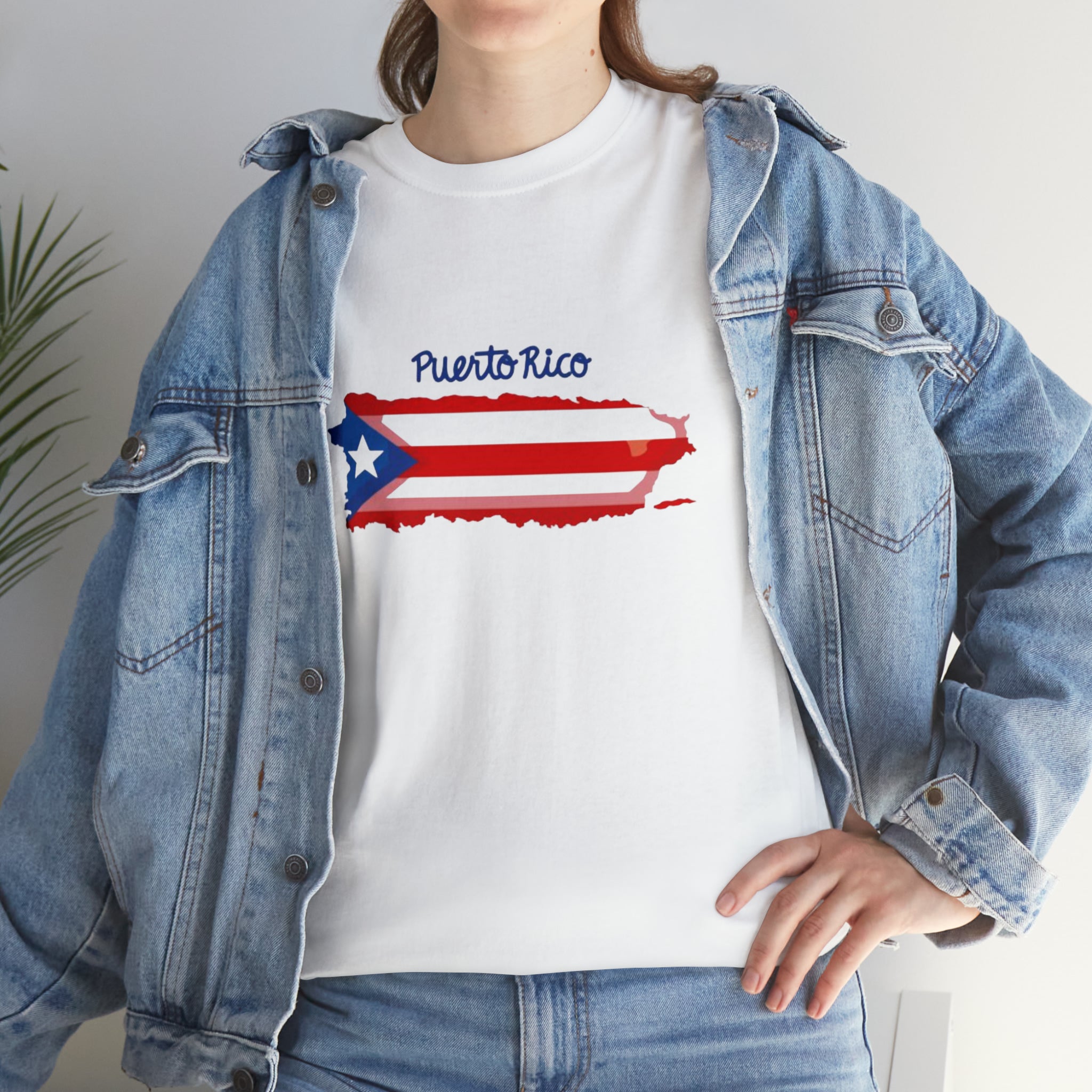 Island of Puerto Rico Flag Heavy Cotton Tee