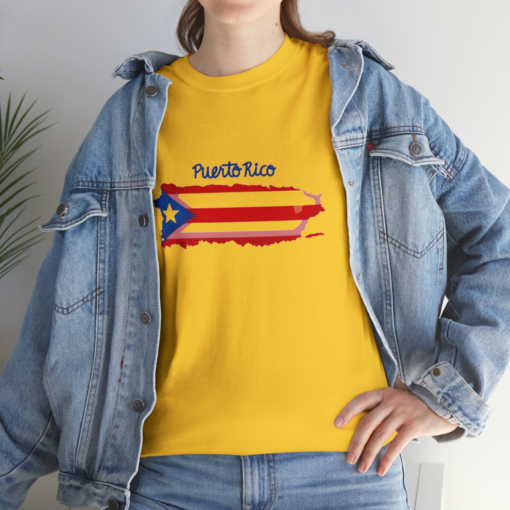 Island of Puerto Rico Flag Heavy Cotton Tee