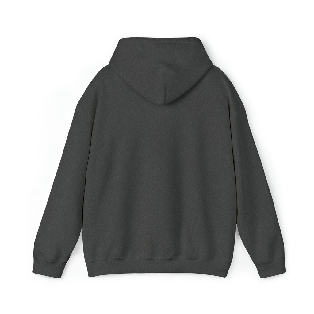 Taino Sun Unisex Heavy Blend™ Hooded Sweatshirt