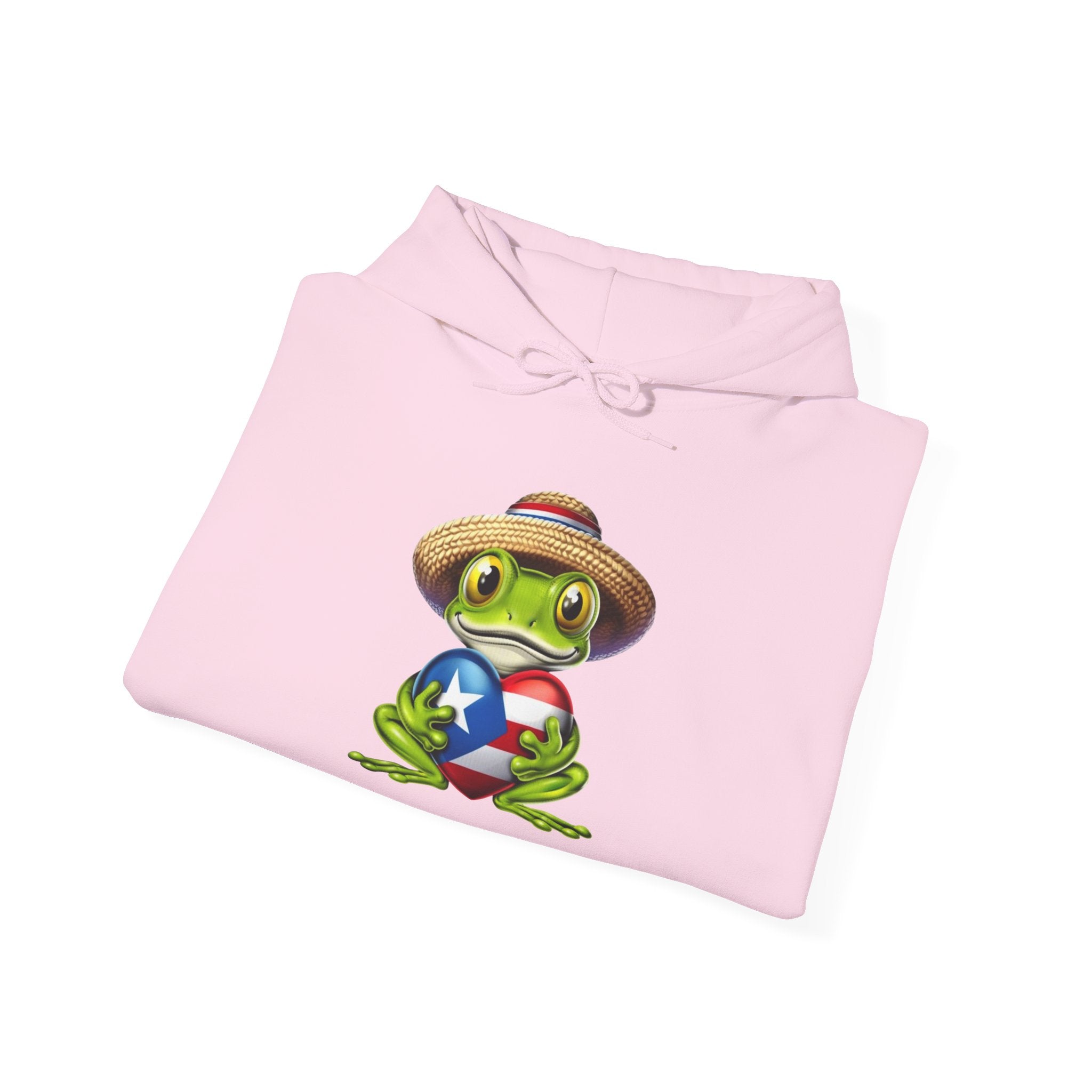 Puerto Rico Frog Hoodie — Coquí with Flag Heart Back Graphic