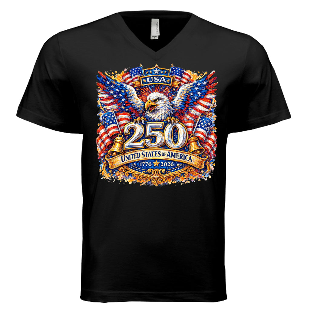 VINTAGE BLACK - 3005 - FRONT
