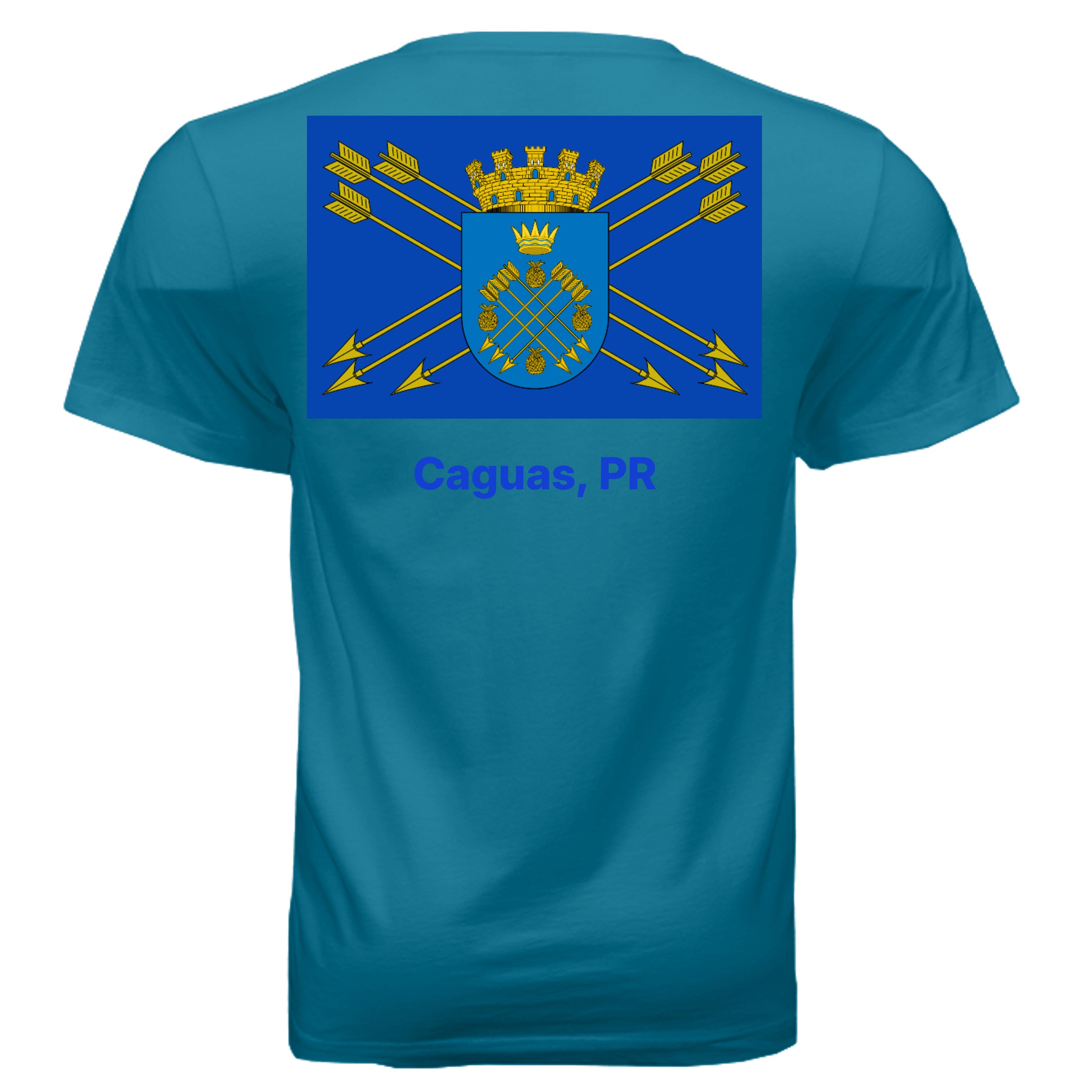 DEEP TEAL - 3005 - BACK