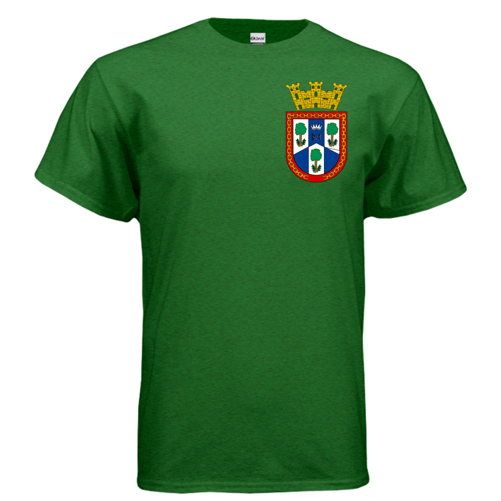 ANTIQUE IRISH GREEN - G500 - FRONT