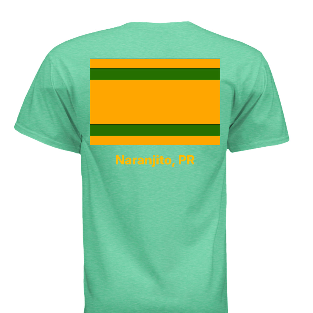 HEATHER IRISH GREEN - G64V - BACK