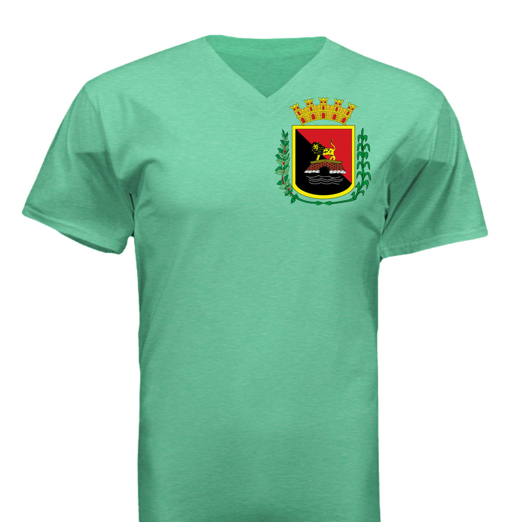 HEATHER IRISH GREEN - G64V - FRONT