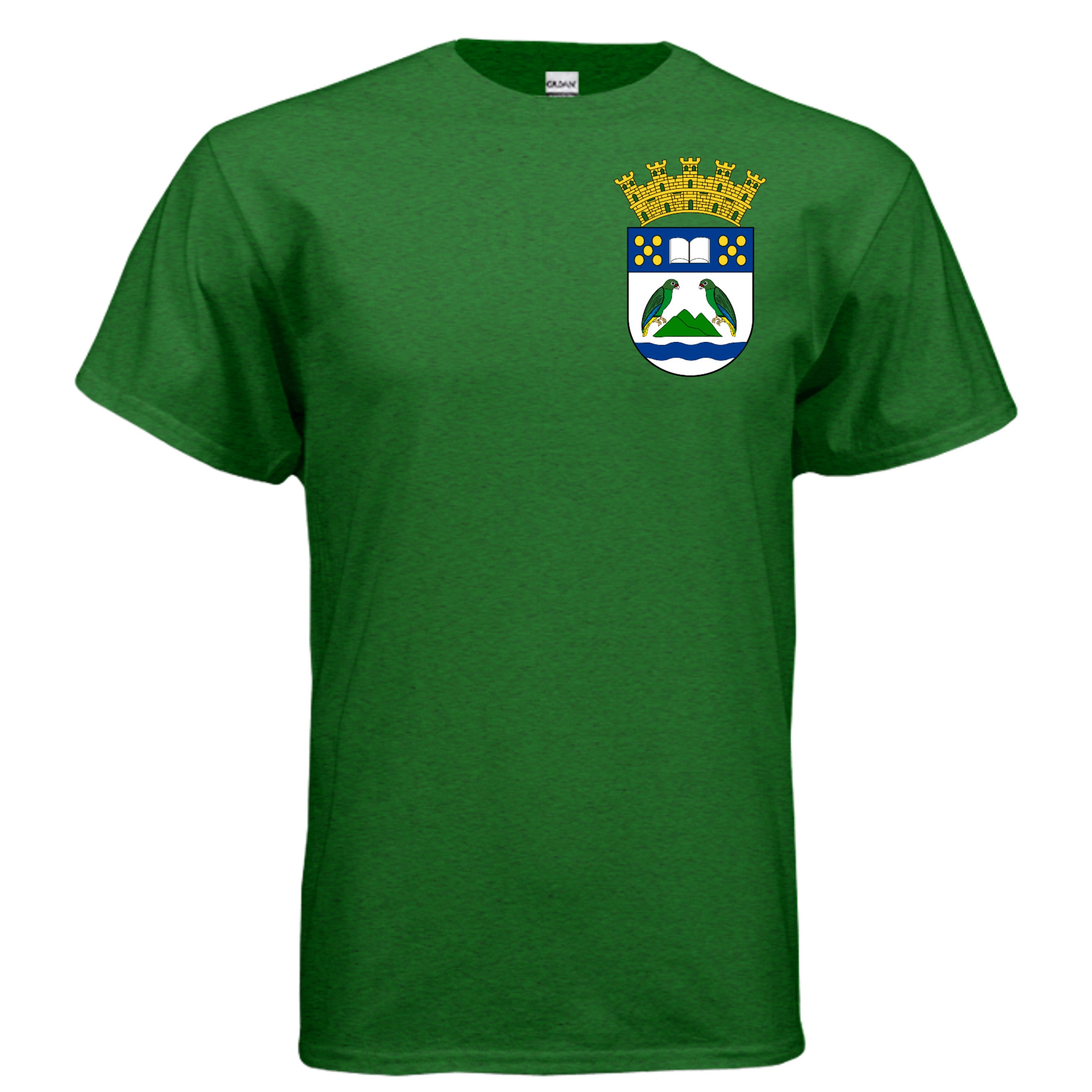 ANTIQUE IRISH GREEN - G500 - FRONT