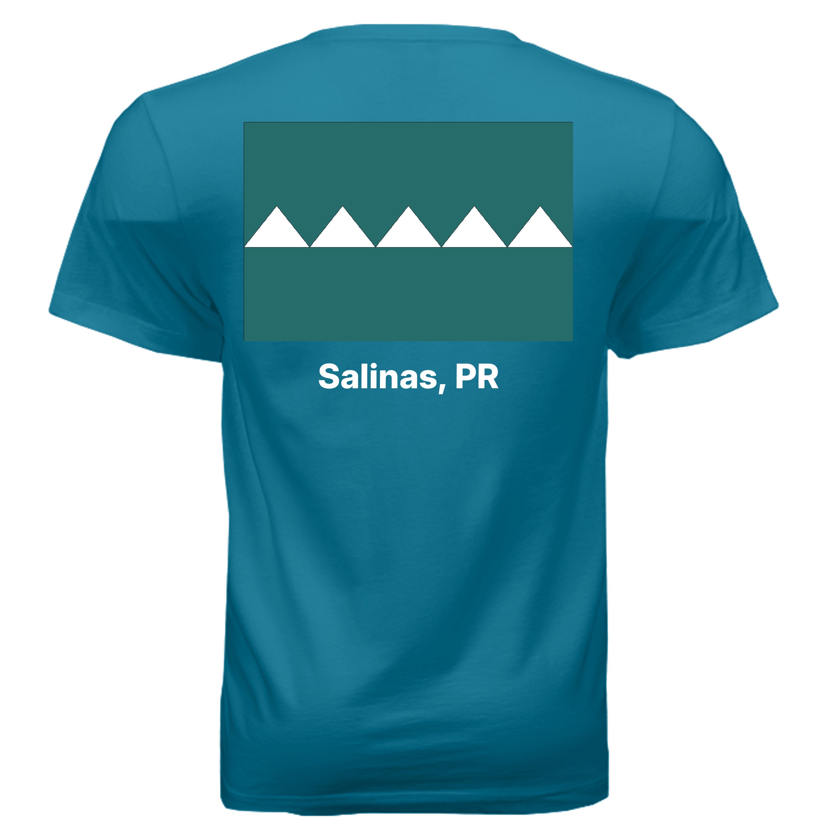 DEEP TEAL - 3005 - BACK