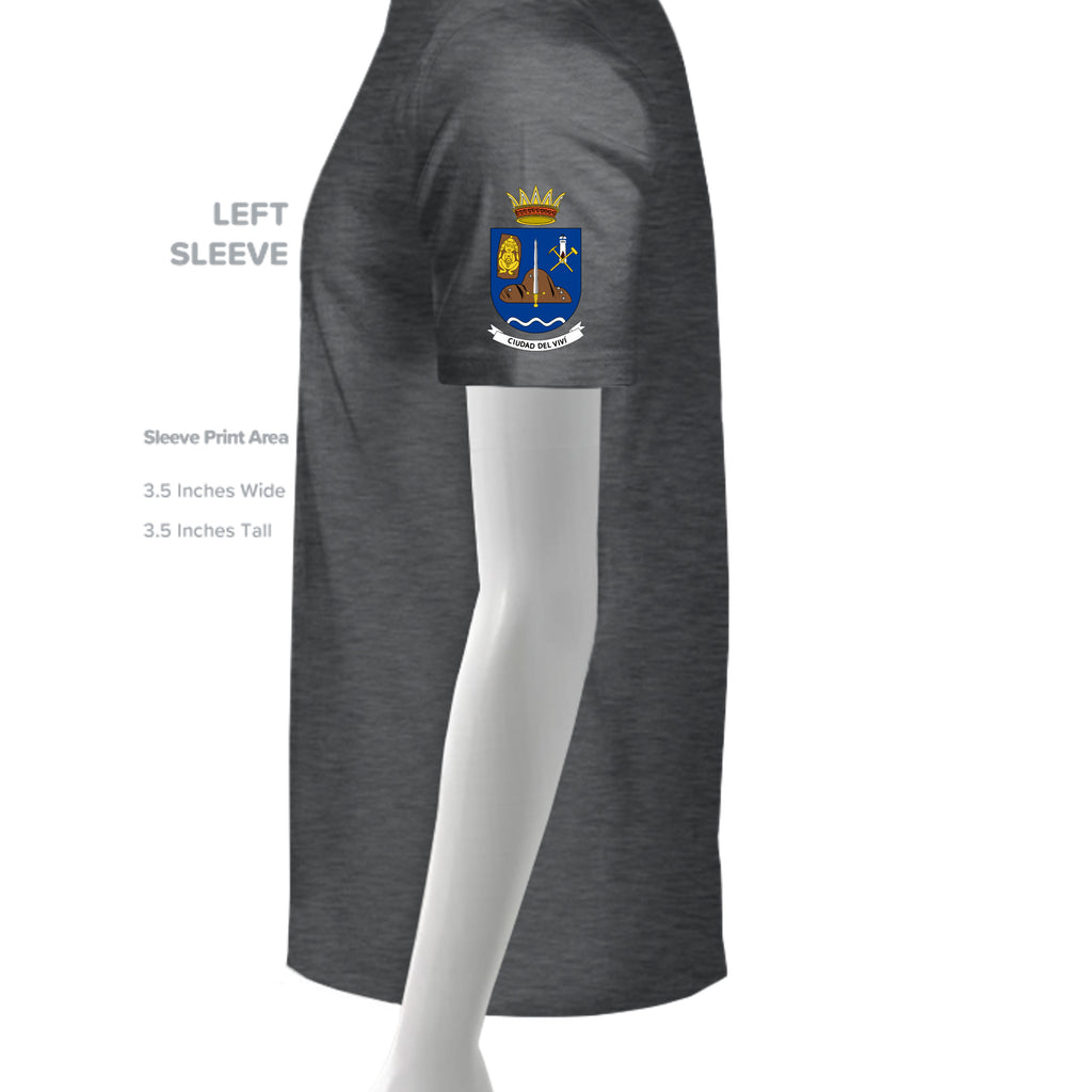 DARK HEATHER - G64V - SLEEVE_LEFT