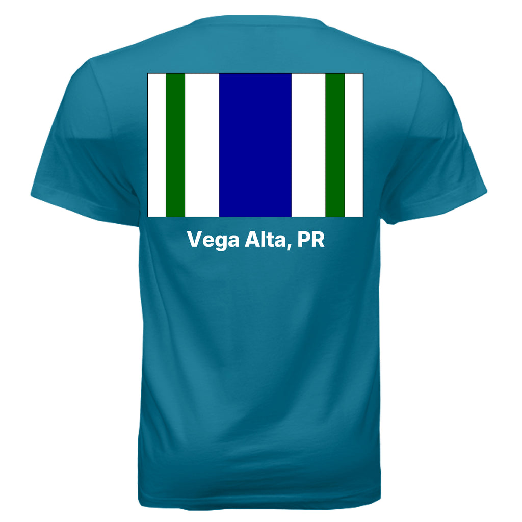 DEEP TEAL - 3005 - BACK