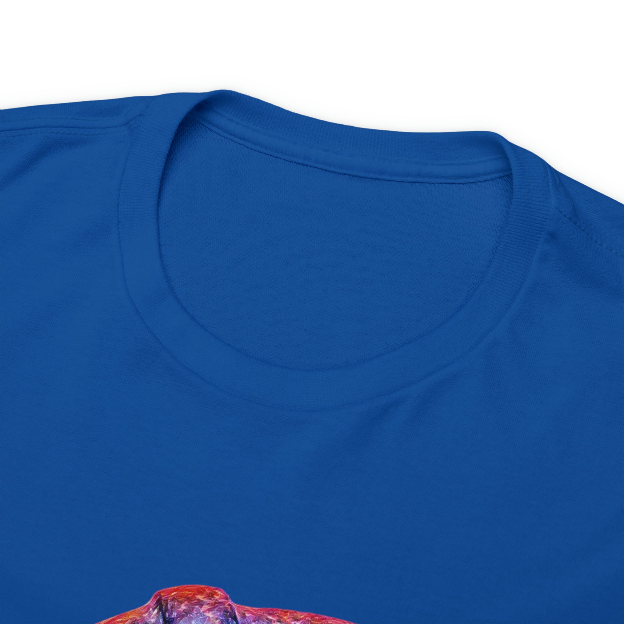 Taino Trigonolito Unisex Heavy Cotton Tee