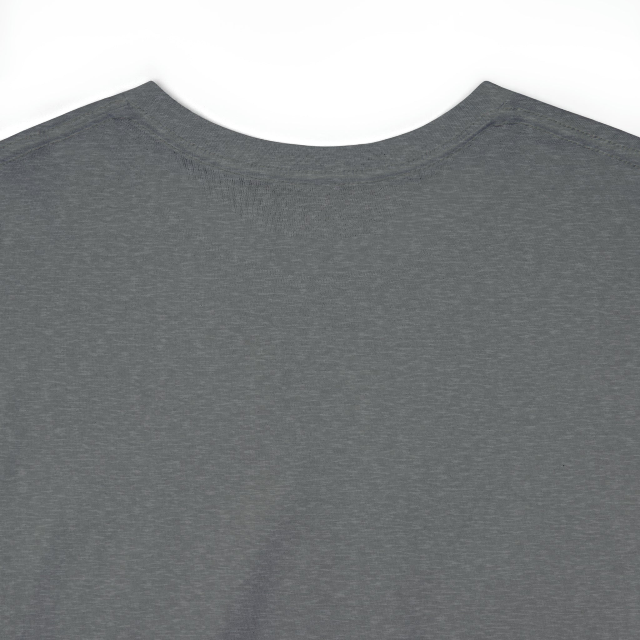 Taino Artifact Unisex Heavy Cotton Tee