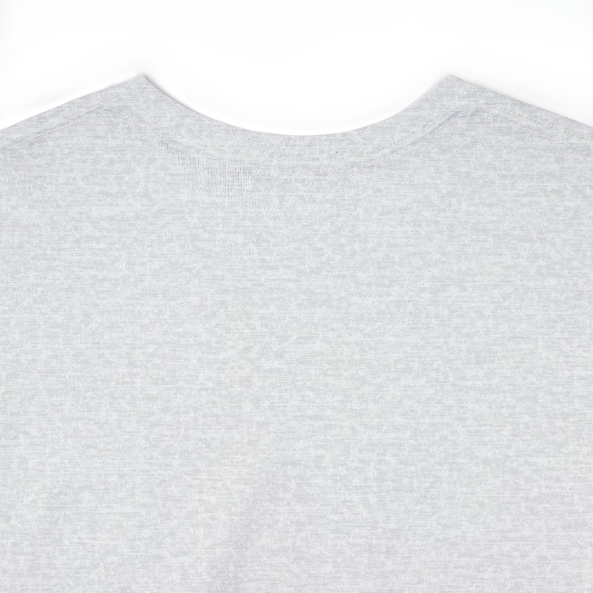 Taino Trigonolito Unisex Heavy Cotton Tee
