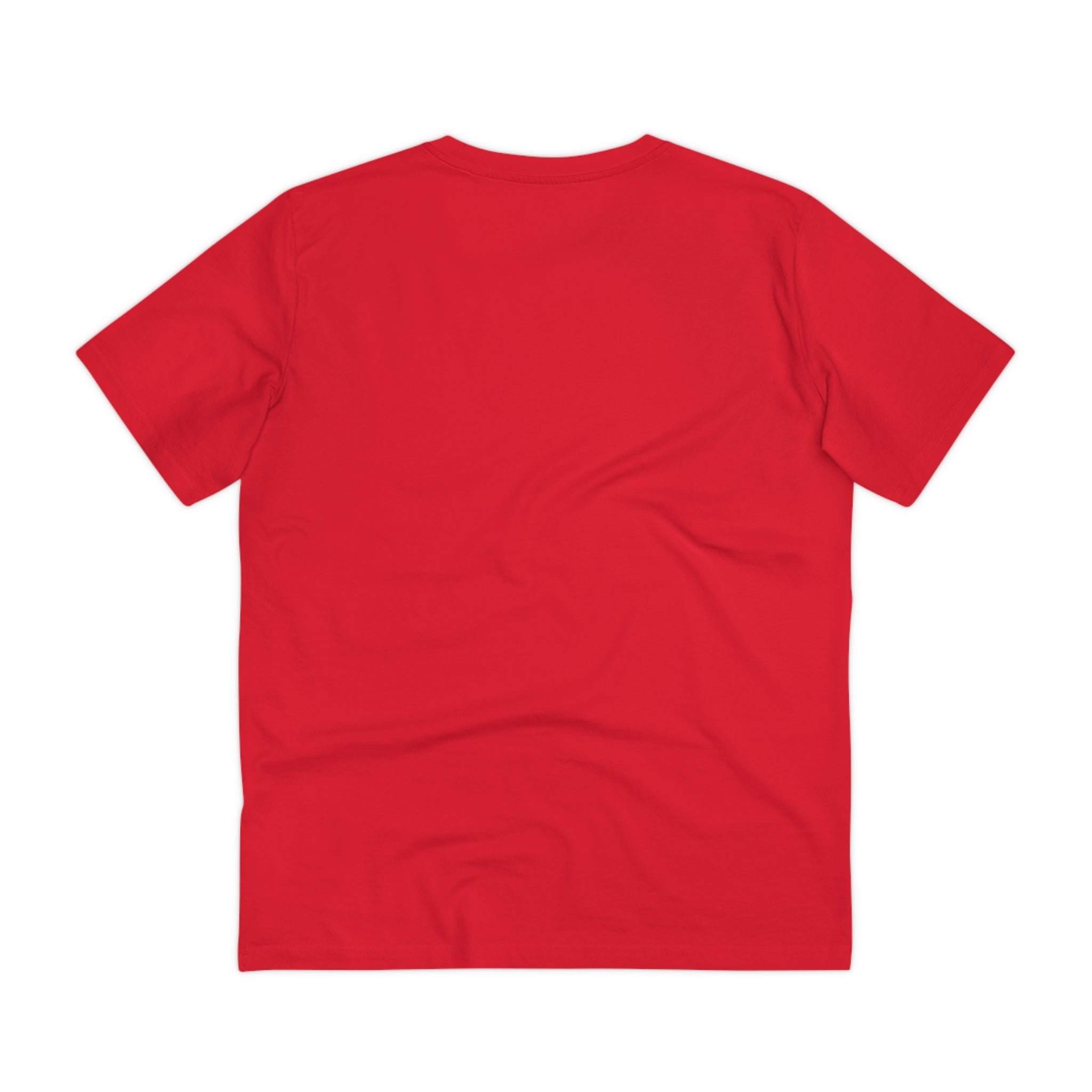 Taino Multicolored Artifact Organic Creator T-shirt - Unisex