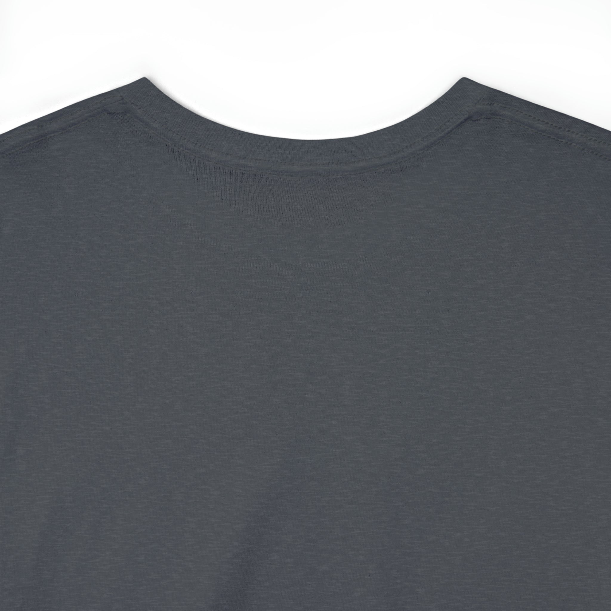 Taino Artifact Unisex Heavy Cotton Tee